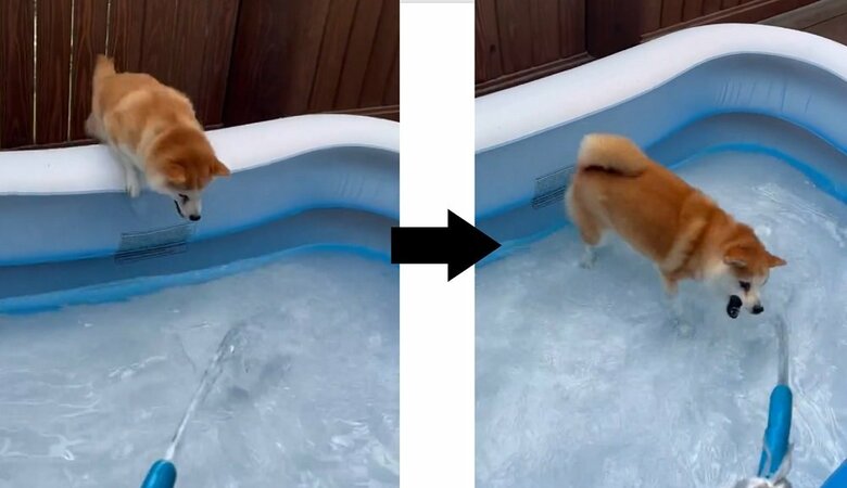 プールに飛び込む！