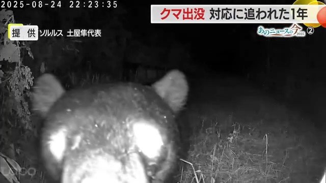 畑に設置した防犯用のカメラに映っていたクマ