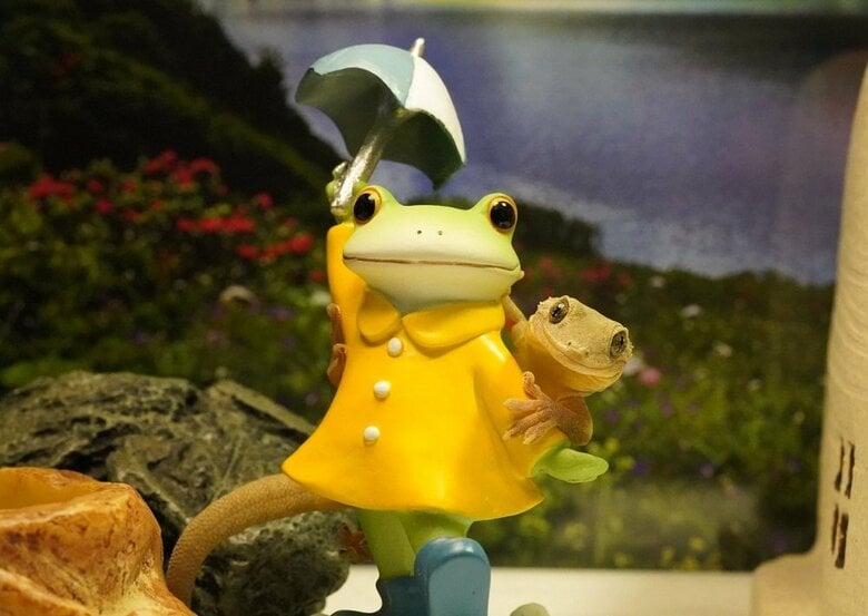 雨の日のするめちゃん