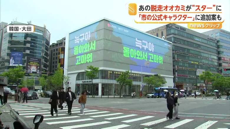 「ヌック、帰ってきてくれてありがとう」の文字