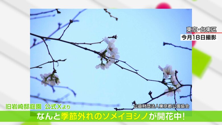 東京・台東区　旧岩崎邸庭園