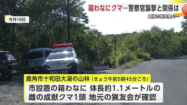 警察官2人がクマに襲われた山林　体長1.1メートルのクマを駆除　秋田・鹿角市