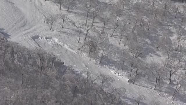 スキー場で雪崩も発生…気温上昇で積雪の多い地域では雪崩に注意　新潟市中央区で最高気温9℃の予想