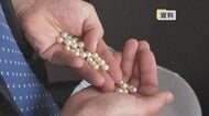 愛媛特産「宇和海産真珠」入札スタート「築地マグロ１匹に負けない」まずます好調な滑り出し【愛媛】