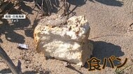 海岸でも不審なパン　国立公園「大山」付近の県道で4日間に39kg不法投棄　野生動物が誘い出される可能性も　鳥取市などがパトロール強化