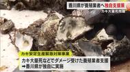 カキの大量死に物価高騰…カキ養殖業者支援に向けた緊急対策事業を臨時県議会に２５日提案へ【香川】