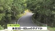 体長50〜60cmの子グマか…林道でランニング中だった70代男性がクマに頬を引っかかれケガ 入山を当面禁止し警戒