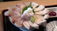 農林水産物の輸出額「過去最高」　前年同期比で緑茶83.5％、ブリ69％増　「上半期」として2年連続で過去最高を更新