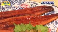 「気分はうなぎのぼり」土用の丑の日を前に　幅広いラインナップでウナギ販売