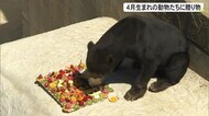 動物たちの合同バースデー 沖縄こどもの国