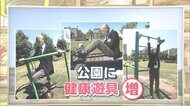 公園に“見慣れない遊具”ナゼ 子ども用消え...公園は誰が