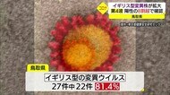 鳥取コロナで感染者急増の背景は…変異ウイルス「N501Y・イギリス型」が8割占める