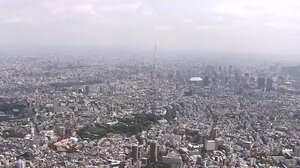 新型コロナ 全国の重症者526人