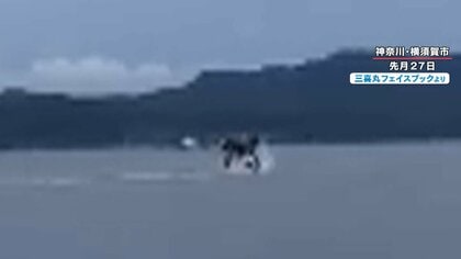 海に異変！？東京湾で“海のギャング”シャチ目撃