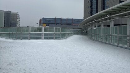 東京都心で5センチの積雪観測…鉄道はダイヤ乱れや一部列車で直通運転中止に　8日午前11時の各社運行状況
