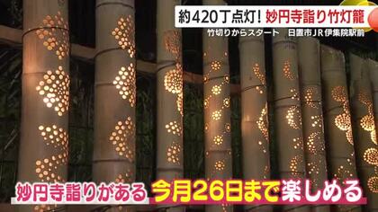 妙円寺詣り竹灯籠　約420丁点灯！　竹切りからスタート　鹿児島・日置市