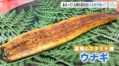 ２６日は【土用の丑の日】「香りだけでご飯が進みそう！」 今年は稚魚が豊漁で、相場が下がる！