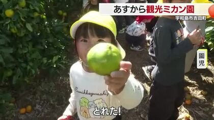 「とれた！」１８日から宇和島市で観光ミカン園始まる　地元の園児が一足お先においしさを堪能【愛媛】