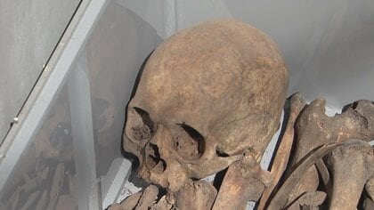 原爆犠牲者の遺体を重機で…必死の思いで集めた遺骨を弔い続ける寺　朽ちることない無縁遺骨の叫び【長崎発】