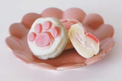「猫の肉球、食べちゃいたい」宮城・塩竈発のお菓子ブランドが全国展開するまで