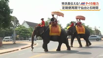 仙台とバンコクが直行便で６時間に　世界遺産や本場グルメなど活気あふれるタイの魅力を現地リポ