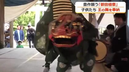 獅子舞や王の舞…五穀豊穣を願い子供たちが奉納　敦賀市沓見で「御田植祭」