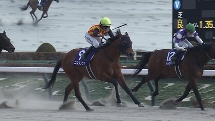 フォーエバーヤング ブリーダーズカップクラシック優勝記念 根岸S