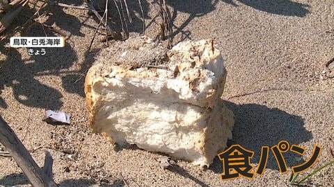 海岸でも不審なパン　国立公園「大山」付近の県道で4日間に39kg不法投棄　野生動物が誘い出される可能性も　鳥取市などがパトロール強化