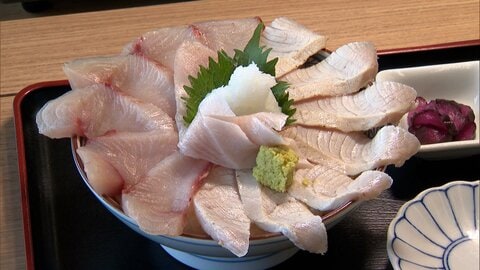 農林水産物の輸出額「過去最高」　前年同期比で緑茶83.5％、ブリ69％増　「上半期」として2年連続で過去最高を更新