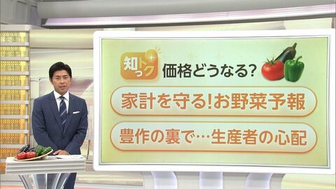 初夏の“野菜予報”でお買い得をチェック！新キャベツ149円、ほうれん草・小松菜は例年より約3割安…生産者は“巨大化”で損失も