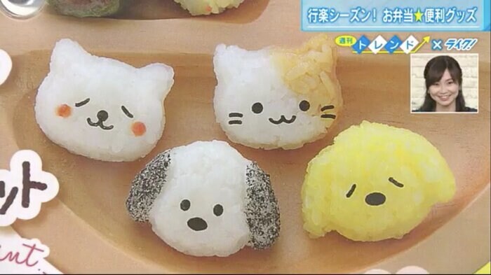「わんにゃんミニミニおにぎりセット」で作ったおにぎり