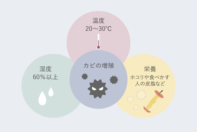 カビが好む温度と湿度