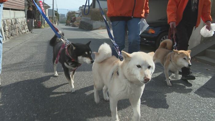 先頭を歩く「ひかり」