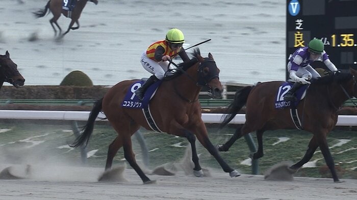 2025年 フェブラリーSを制したコスタノヴァ