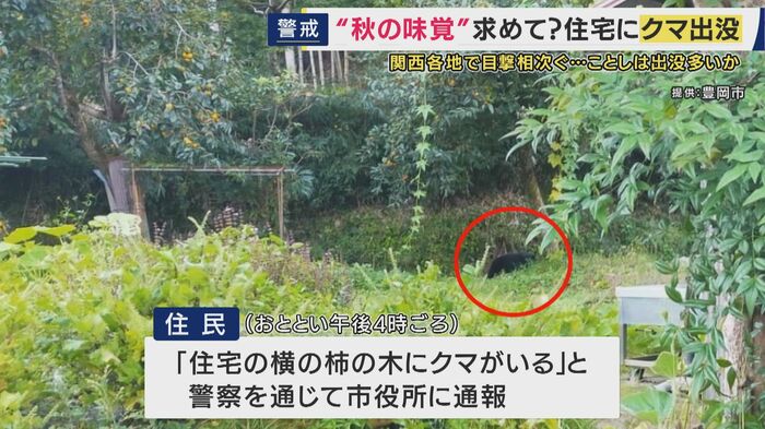 豊岡市但東町に現れたクマ
