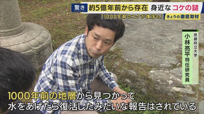 京都府立大学 小林亮平特任研究員