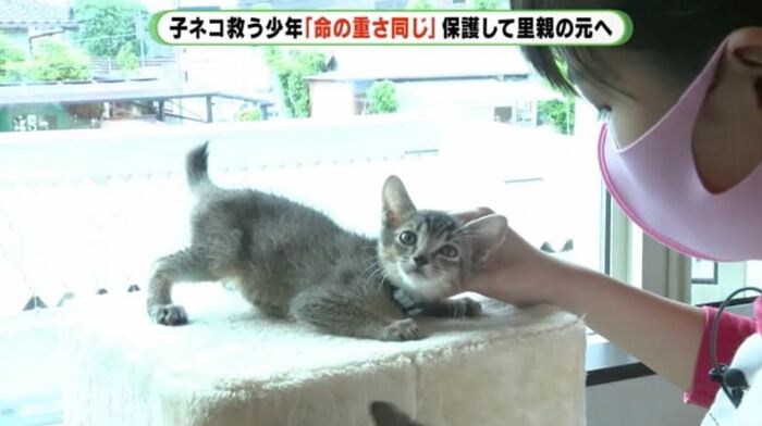 子ネコ1匹1匹に声をかける朔さん