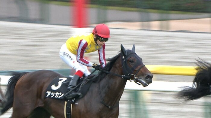 百日草特別を制したアッカン