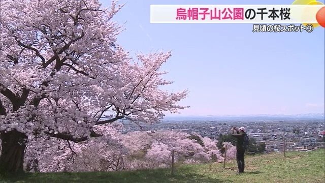 烏帽子山公園は高台にあるため、置賜盆地を一望できる