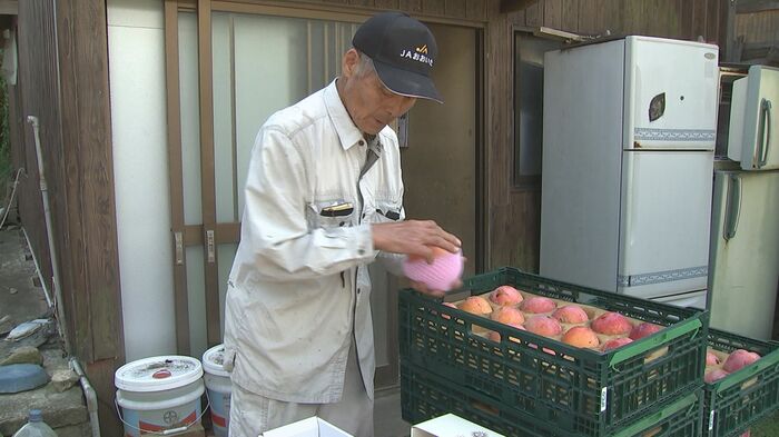 菊地農園