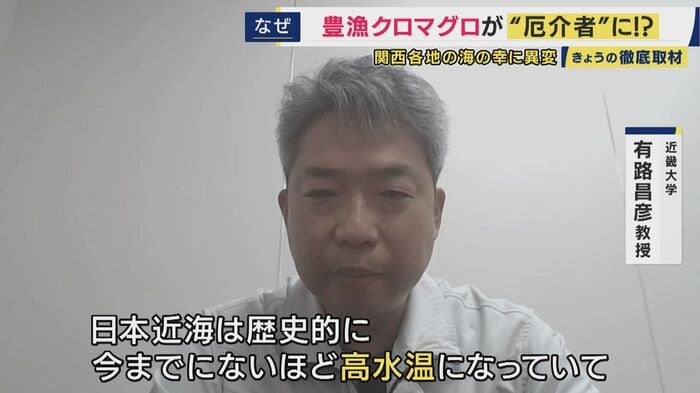 近畿大学 有路昌彦教授