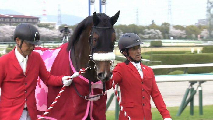 4月7日 桜花賞を制した ステレンボッシュ