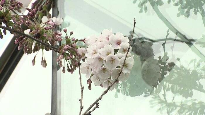 大通公園4丁目の地下鉄出入口