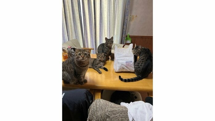 普段から集まりがち