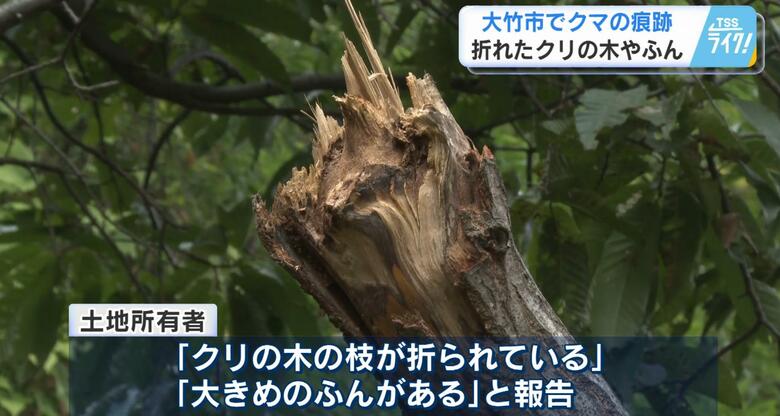 「向かってこられたら取り返しがつかない」畑でクマの痕跡見つかる　広島・大竹市　安芸高田市でも目撃情報｜FNNプライムオンライン