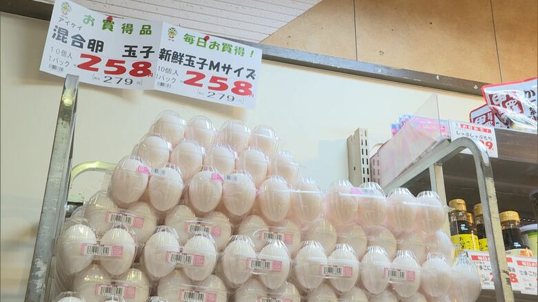 今後も楽観視できず…高値続く卵が値下がり 要因は“需要の低下”等　生産者「300円台しばらく続く」【愛知発】｜FNNプライムオンライン