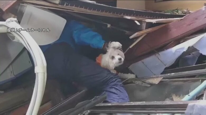 「そこにいるね！いてよ！」崩れたがれきの下から犬の鳴き声が…地震発生から約66時間後　諦めかけた命の救出劇｜FNNプライムオンライン