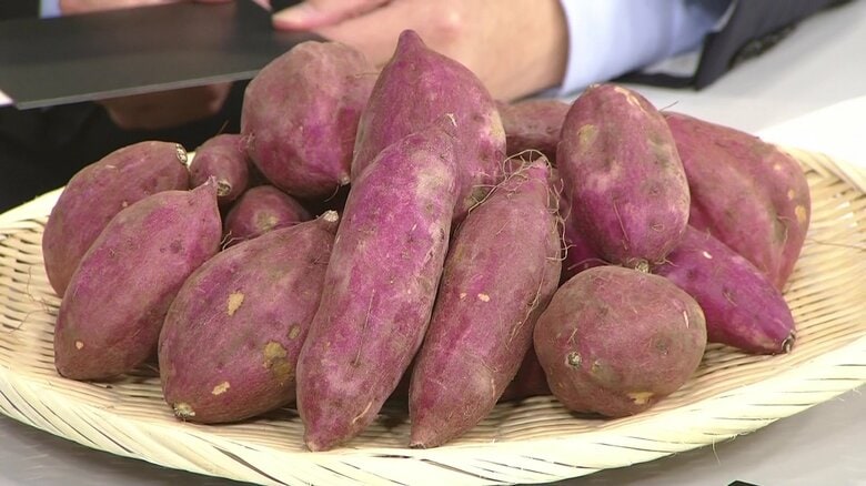 甘さで魅了！鹿児島のサツマイモがアジアで人気　輸出額は5年で10倍に…焼き芋ブームも｜FNNプライムオンライン