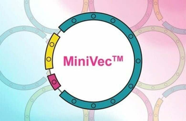 抗生物質フリーの次世代プラスミド「MiniVec™」 ： 耐性遺伝子リスクと規制対応の壁を“設計”で越える