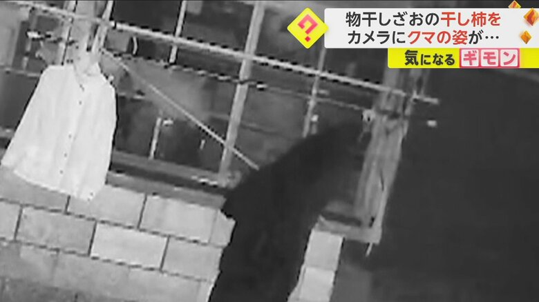 “干し柿泥棒”の正体はクマ…防犯カメラに“犯行の瞬間”　柿食べるクマに遭遇した新聞配達員は“アレ”で撃退｜FNNプライムオンライン